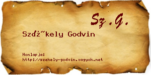 Székely Godvin névjegykártya